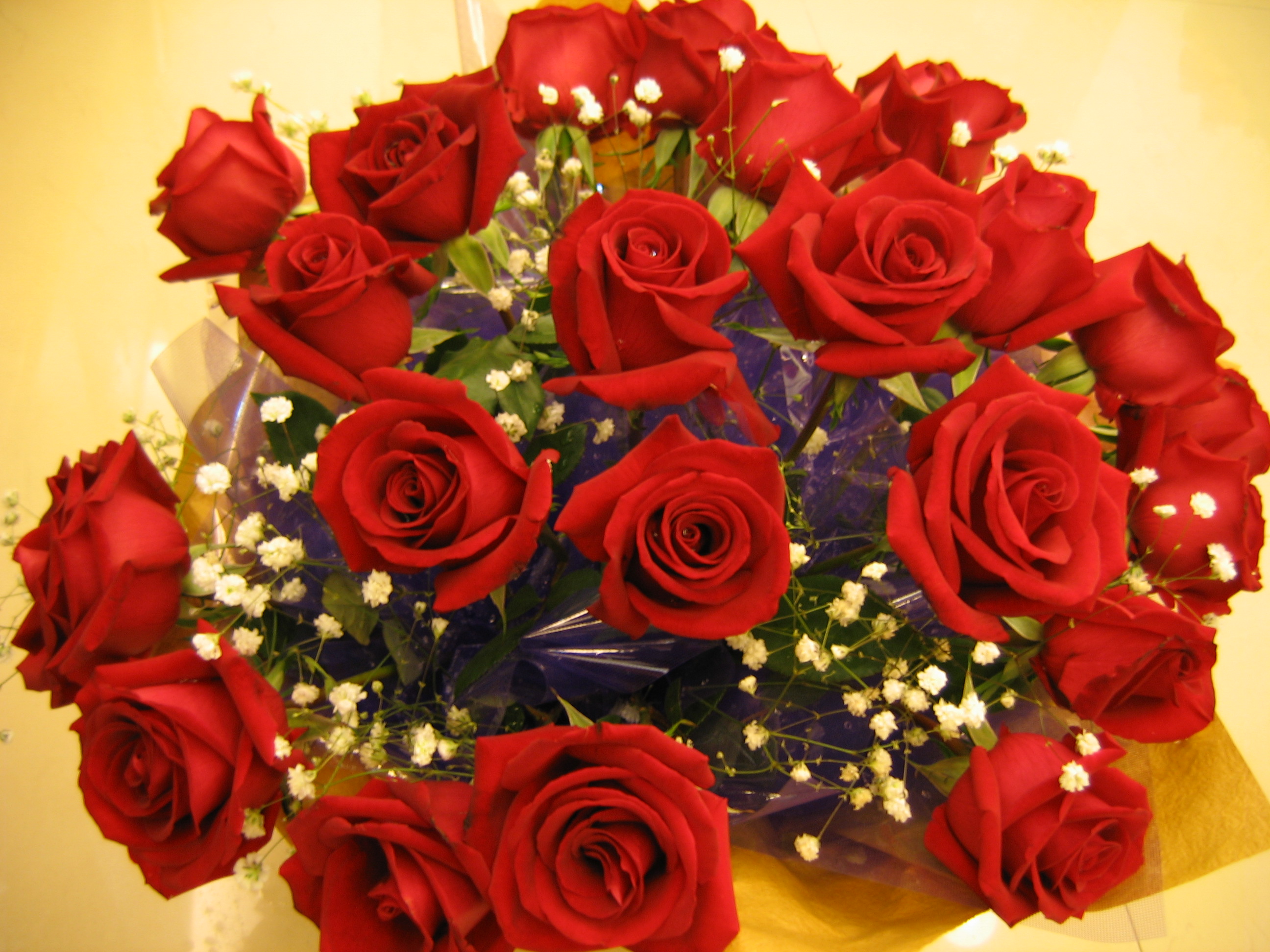 活了25载了,第一次给mm送这么大束的花——2006年情人节!